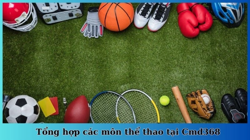 Tổng hợp các môn thể thao tại Cmd368