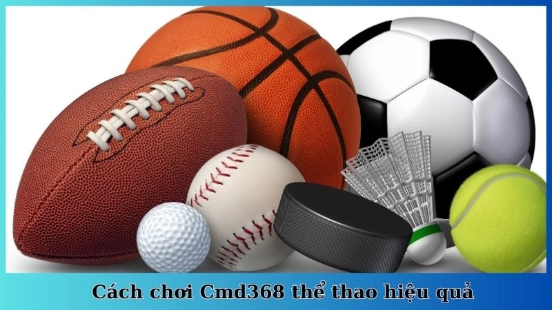 Cách chơi Cmd368 thể thao hiệu quả