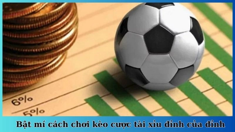 Bật mí cách chơi kèo cược tài xỉu đỉnh của đỉnh