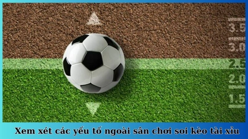Xem xét các yếu tố ngoài sân chơi soi kèo tài xỉu