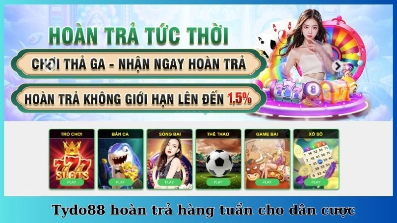 Tydo88 hoàn trả hàng tuần cho dân cược