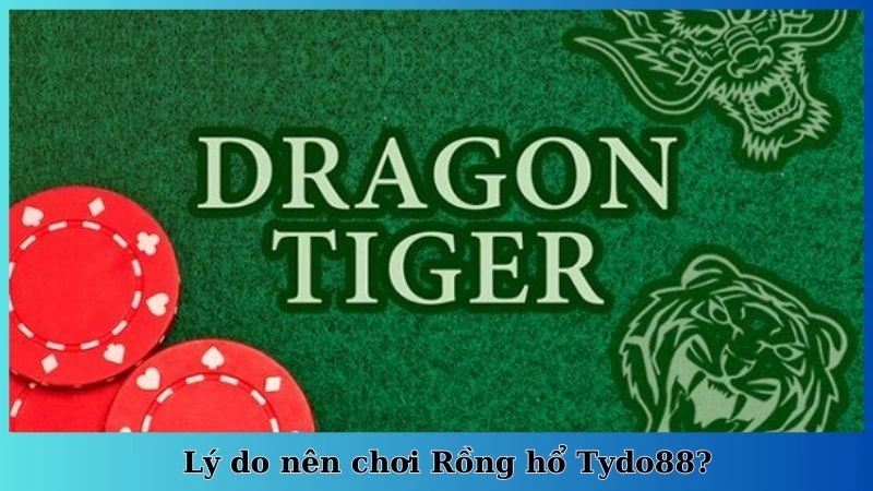 Lý do nên chơi Rồng hổ Tydo88?