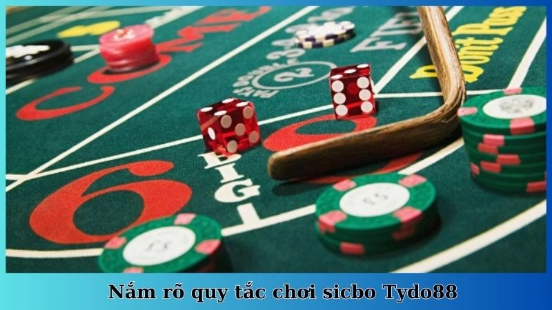 Nắm rõ quy tắc chơi sicbo Tydo88