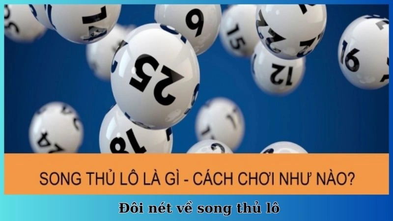 Đôi nét về song thủ lô