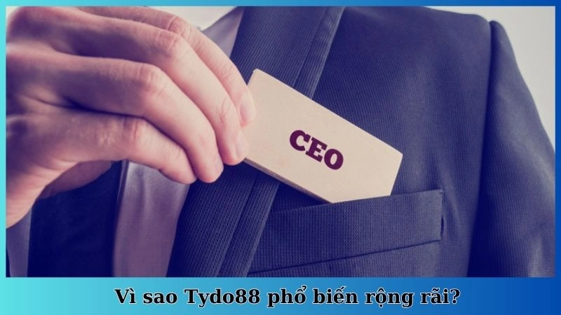 Vì sao Tydo88 phổ biến rộng rãi?